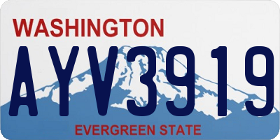 WA license plate AYV3919