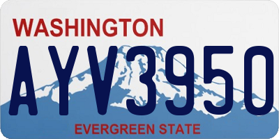 WA license plate AYV3950