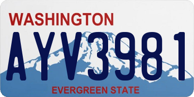 WA license plate AYV3981
