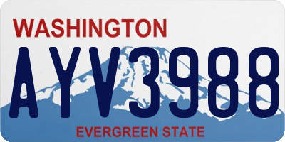 WA license plate AYV3988