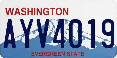 WA license plate AYV4019