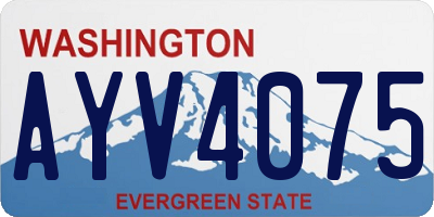 WA license plate AYV4075
