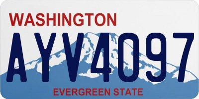 WA license plate AYV4097