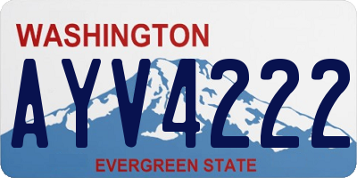 WA license plate AYV4222