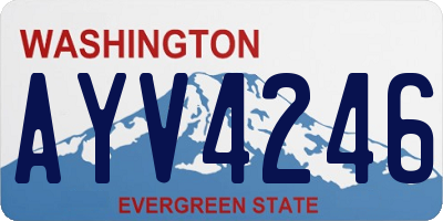 WA license plate AYV4246