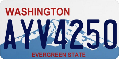 WA license plate AYV4250