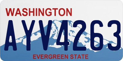 WA license plate AYV4263
