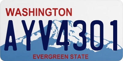 WA license plate AYV4301