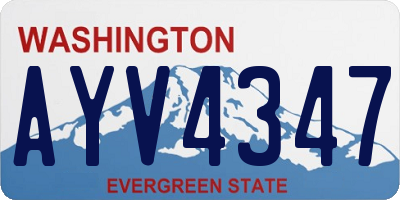 WA license plate AYV4347
