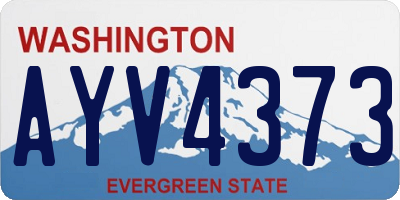 WA license plate AYV4373