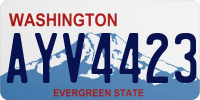 WA license plate AYV4423