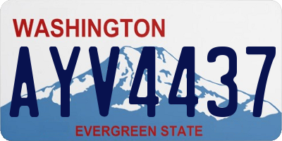 WA license plate AYV4437