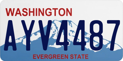 WA license plate AYV4487