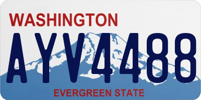 WA license plate AYV4488