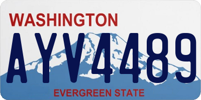 WA license plate AYV4489