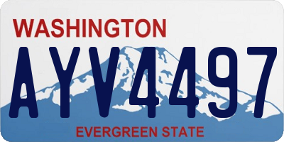 WA license plate AYV4497
