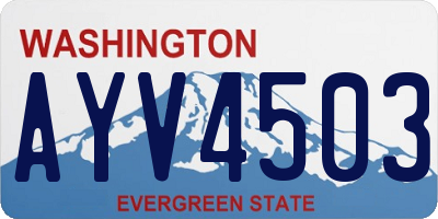 WA license plate AYV4503