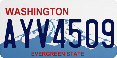WA license plate AYV4509