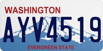 WA license plate AYV4519