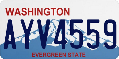 WA license plate AYV4559
