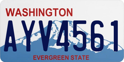 WA license plate AYV4561