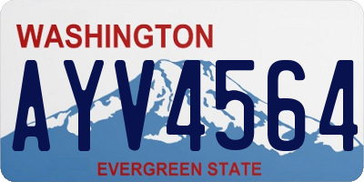 WA license plate AYV4564