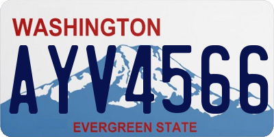 WA license plate AYV4566