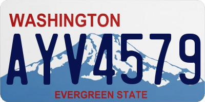 WA license plate AYV4579