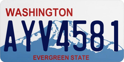 WA license plate AYV4581