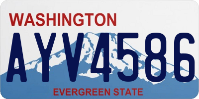 WA license plate AYV4586