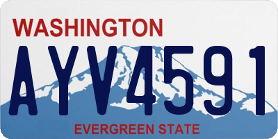 WA license plate AYV4591