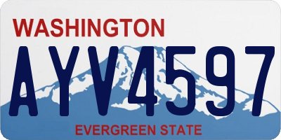 WA license plate AYV4597