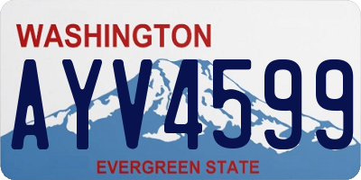 WA license plate AYV4599