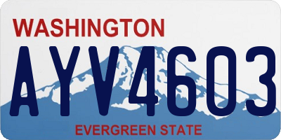 WA license plate AYV4603