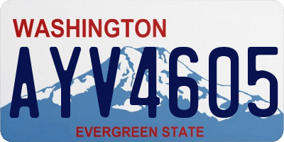 WA license plate AYV4605