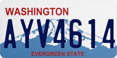 WA license plate AYV4614