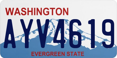WA license plate AYV4619