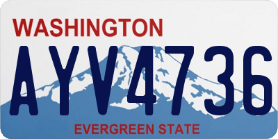 WA license plate AYV4736