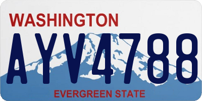 WA license plate AYV4788