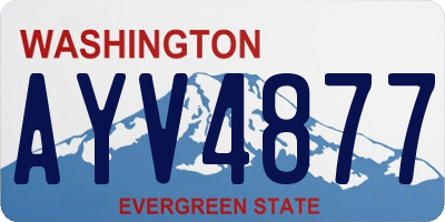 WA license plate AYV4877