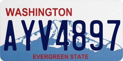 WA license plate AYV4897