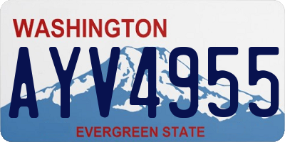 WA license plate AYV4955