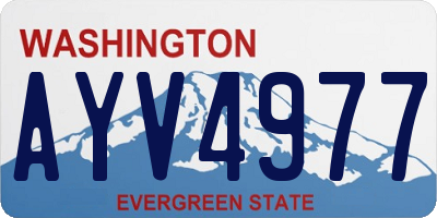 WA license plate AYV4977
