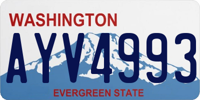 WA license plate AYV4993