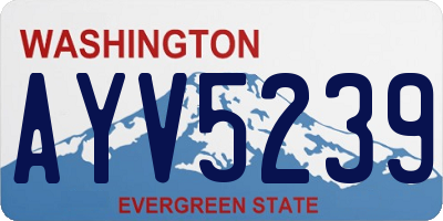 WA license plate AYV5239