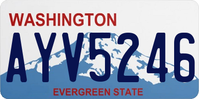 WA license plate AYV5246