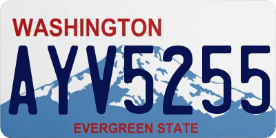 WA license plate AYV5255