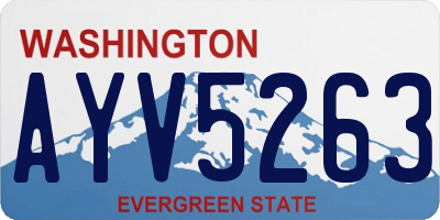 WA license plate AYV5263