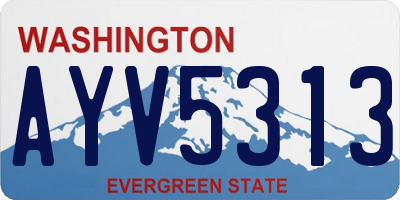 WA license plate AYV5313