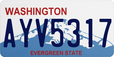 WA license plate AYV5317